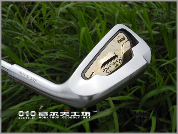 【进口】Romaro（罗马罗） RAY V(gold)铁杆头