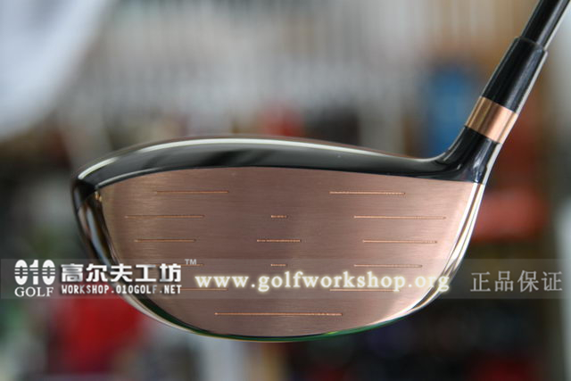 [原装进口]Geotech GT45N SWS alpha-Spec一号木
